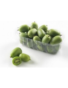 ''Kiwiño''  Actinidia arguta - Macho El Kiwiño Llego a Mexico - Frutal exotico y raro en venta 2