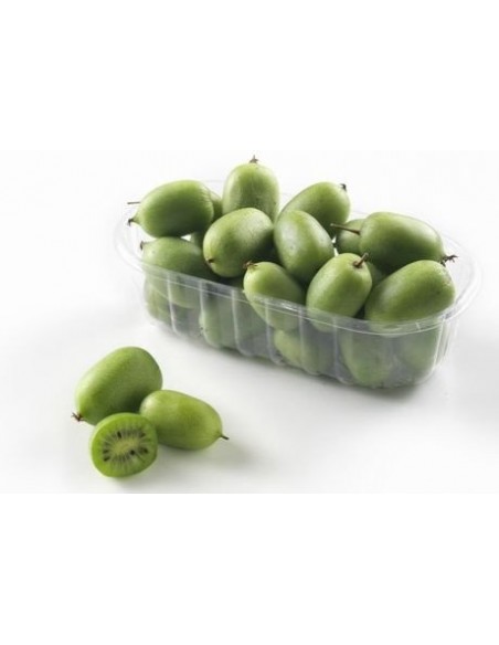 ''Kiwiño''  Actinidia arguta - Macho El Kiwiño Llego a Mexico - Frutal exotico y raro en venta