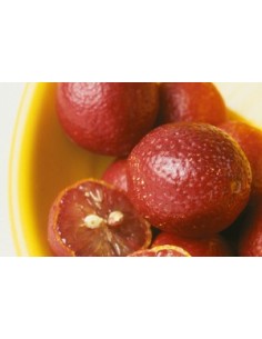 1 Grafted tree Australian Blood lime