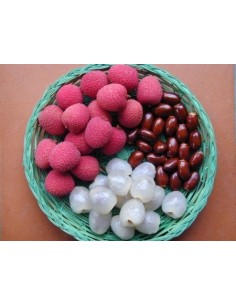 1 Arbolito Lichi - Liche (Litchi chinensis) Frutal asiatico Lichee Vivero online Ordena ya 2