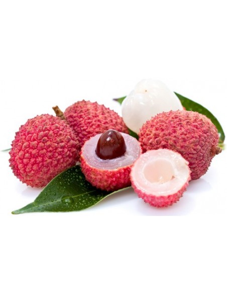 1 Arbolito Lichi - Liche (Litchi chinensis) Frutal asiatico Lichee Vivero online Ordena ya