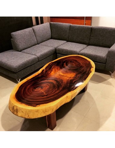 1 Arbolito de Parota (Enterolobium cyclocarpum) Guanacaxtle, Guanacaste , Vivero forestal