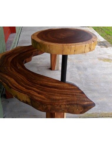 1 Parota live tree (Enterolobium cyclocarpum)