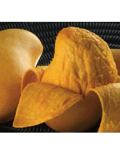 1 Arbolito de Mango ''Ataulfo'' Venta en Mexico de Plantas (Mangifera indica)