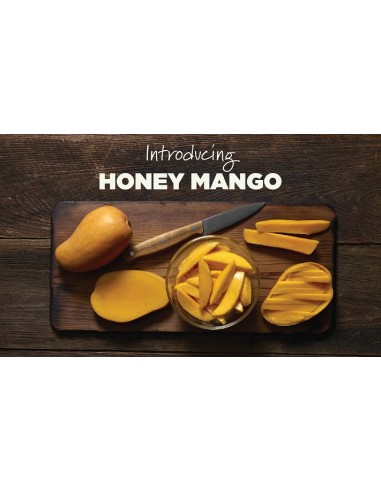 ''ATAULFO'' Mango Tree for sale - Grafted plant from Mexico (Mangifera indica)