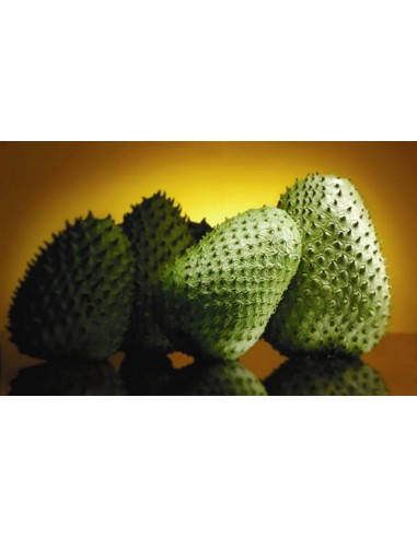 Soursop fruit (Annona muricata) Rare tropical fruit Trees, Mexican nursery We ship worldwide