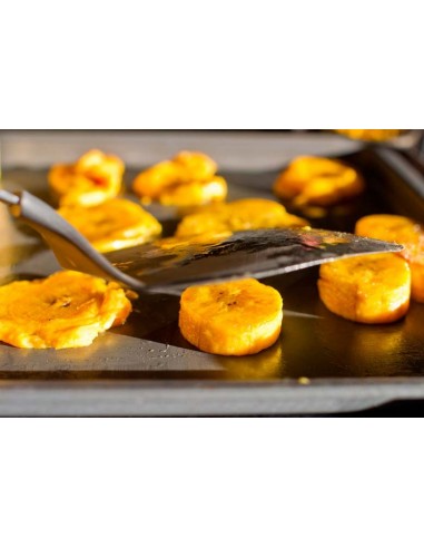 Cooking banana (Musa x paradisiaca) ''Macho'' Mexican cultivar - Banana rare plants On sale