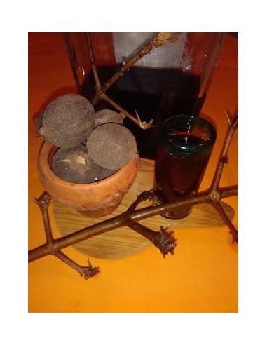 1 Arbolito de Crucetillo (Randia monantha) El arbol contra picadura de serpientes  Raros y endemicos Crusetillo