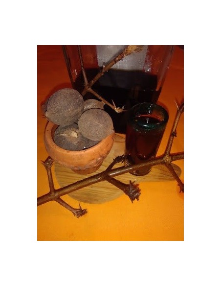 Rare Black Jam fruit tree for sale (Randia monantha) Not aculeata. Endemic from Veracruz Mexico