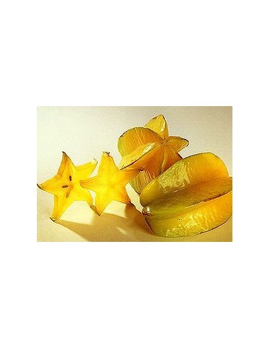 1 Star fruit live plant - Averrhoa carambola for sale worldwide shippings