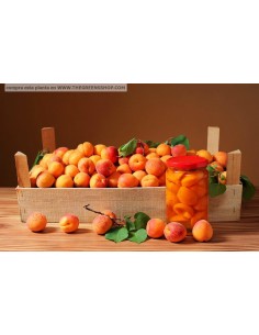 1 Arbolito de Chabacano (Prunus armeniaca) Albaricoque, damasco, albergero, Apricot Comprar arbles frutales mexico 2