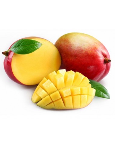 1 Mango ''Petacon'' Mexicano (Mangifera indica) Arbolitos en Venta