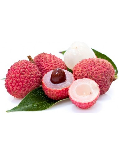 1 Litchi chinensis - Lychee - Liche Lichi Fruta deliciosa originaria de china, Arbolitos acodo