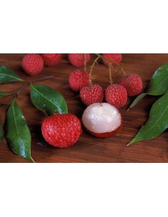 1 Litchi chinensis - Lychee - Liche Lichi Fruta deliciosa originaria de china, Arbolitos acodo