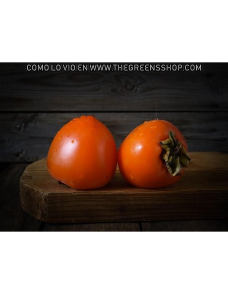 Hachiya persimmon tree (Diospyros kaki) Tsuronoko - Very rare - GRAFTED - TGSC online tree nurseries.