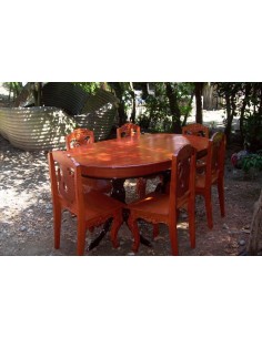 1 Arbol de Cedro Rojo tropical (Cedrela odorata) Arbol Chico - Maderables finos para siembra y comercializacion de mexico. 2