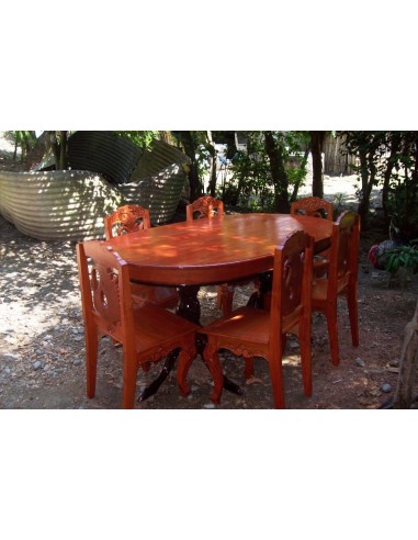 1 Arbol de Cedro Rojo tropical (Cedrela odorata) Arbol Chico - Maderables finos para siembra y comercializacion de mexico.