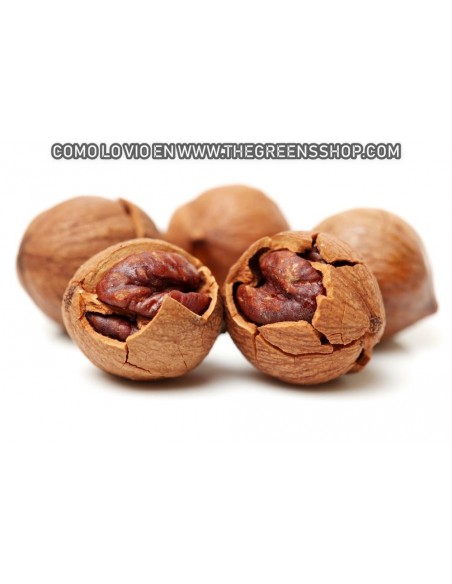 1 Arbolito de Nuez Jicoria ovada (Hicoria) Nogal americano - Nuez comestible exotico VENTA EN MEXICO