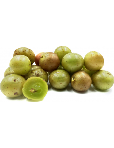 Dix(TM) Golden muscadine...
