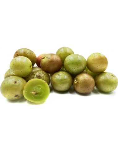 Dix(TM) Golden muscadine Grape vine (Vitis rotundifolia) MALE FOR SALE ONLINE - BUY HERE