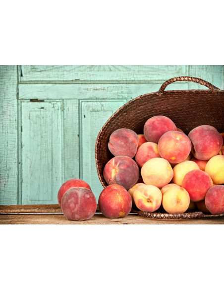 Spanish melocoton peach - GRAFTED TREE RARE NURSERY FRUITS