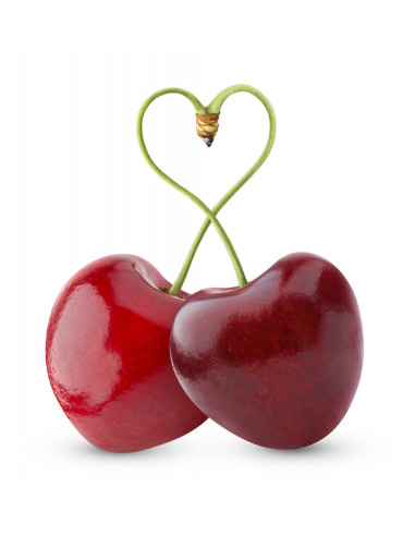 Sweetheart™ Cherry tree (Air layered) Prunus avium wonderfull tree ...