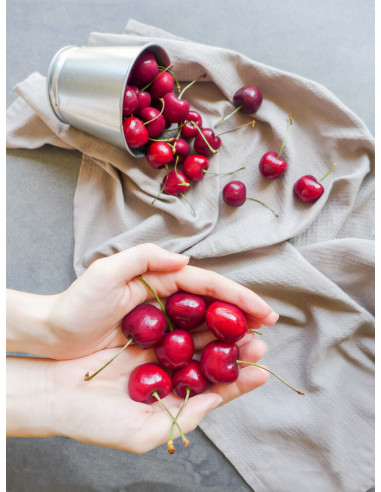 BING Sweet cherry Live tree (Potted) Prunus...