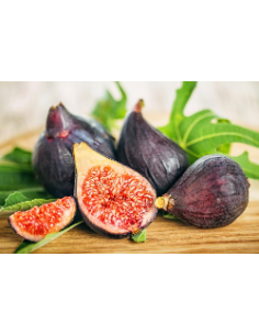 Black Fig (Ficus carica)... 2