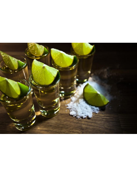 1 Arbolito de Limon colima (Citrus aurantifolia s.) Key lime- Vivero citricola de Veracruz - Envios a todo mexico