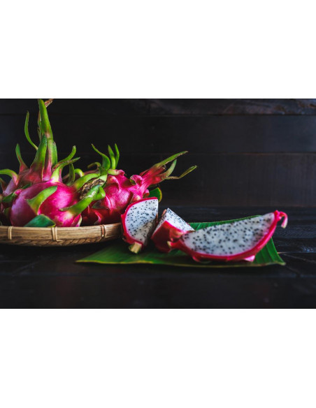 Dragon fruit (Hylocereus undatus) White fleshed edible pitahaya - Worlddwide orders accepted