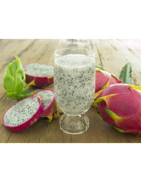 Dragon fruit (Hylocereus undatus) White fleshed edible pitahaya - Worlddwide orders accepted