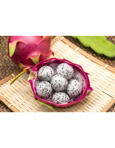 Dragon fruit (Hylocereus undatus) White fleshed...