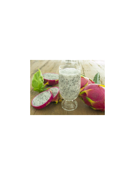 Dragon fruit (Hylocereus undatus) White fleshed edible pitahaya - Worlddwide orders accepted