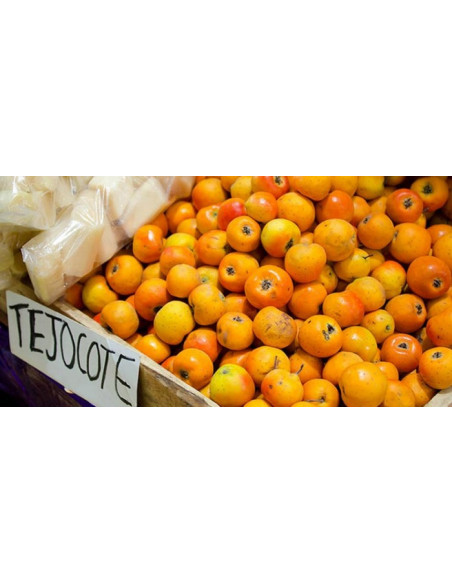 1 Arbolito de Tejocote (Crataegus mexicana) Manzanita, tejocotera, manzana de indias Venta de arbol online