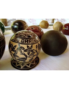 1 Calabash tree Live plant (Crescentia cujete) Mexican nurserys online 2