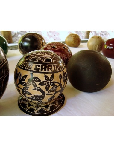 1 Arbolito de Jicaro - crescentia cujete - Jicara unico y endemico de Mexico