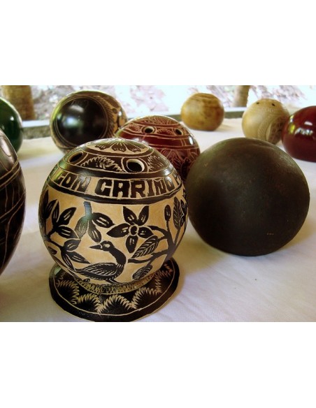 1 Arbolito de Jicaro - crescentia cujete - Jicara unico y endemico de Mexico