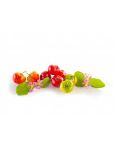 Acerola cherry (Malpighia... 2