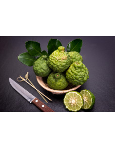 Kaffir lime (Citrus... 2