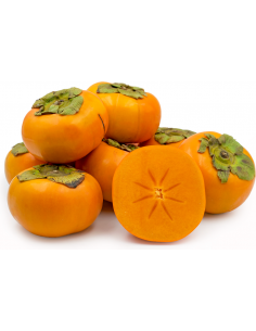 Fuyu persimmon (Diospyros... 2