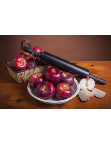 Cortland apple tree (Malus domestica) TWO YEAR...