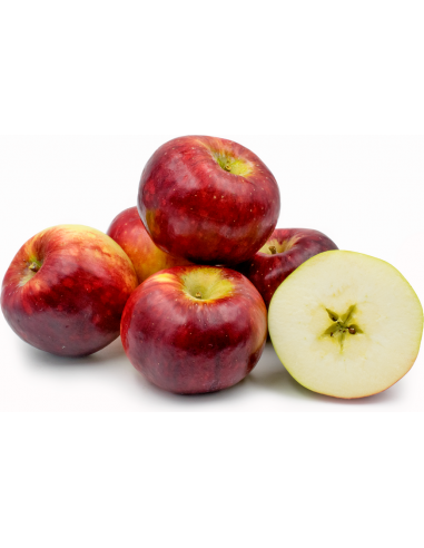 Manzana ''Cortland'' - 1 Arbolito (Malus...