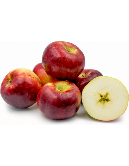 Manzana ''Cortland'' - 1 Arbolito (Malus domestica) Arbol de Manzana importada