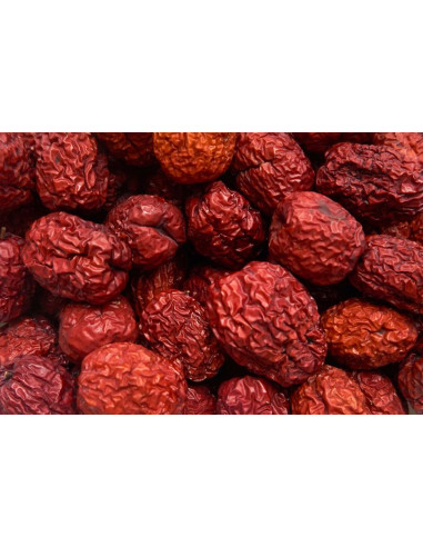 Jujube ''Lang'' (Ziziphus jujuba) Azufaifo,...