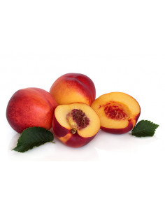 Nectarine 'FANTASIA' Prunus... 2