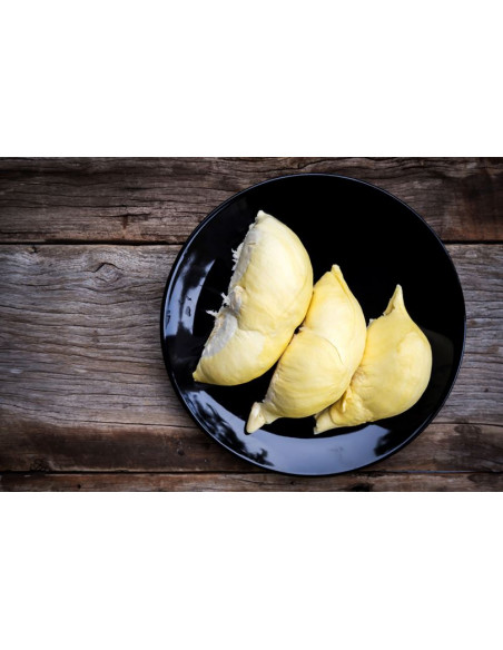 Durian fruit tree ''Monthong'' (Durio zibethinus) Order online durio trees from Mexico