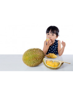Durian fruit tree... 2