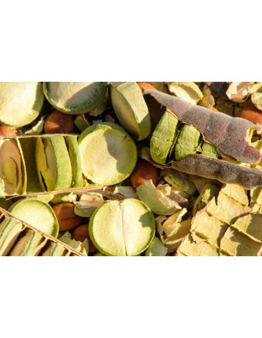 1 Arbolito de Lluvia rosada (Cassia bakeriana)...