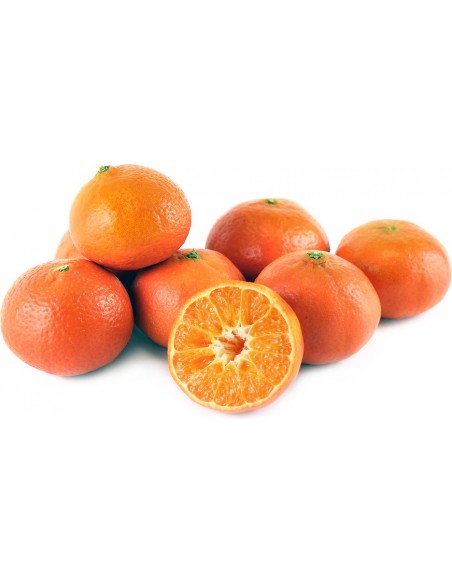 1 Fremont tangerine Grafted tree - Rarest citrus tree in the web 1 Fremont tangerine Grafted tree - Rarest citrus tree in the web