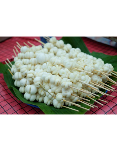 1 Arbol de Mangostan (Garcinia mangostana)...